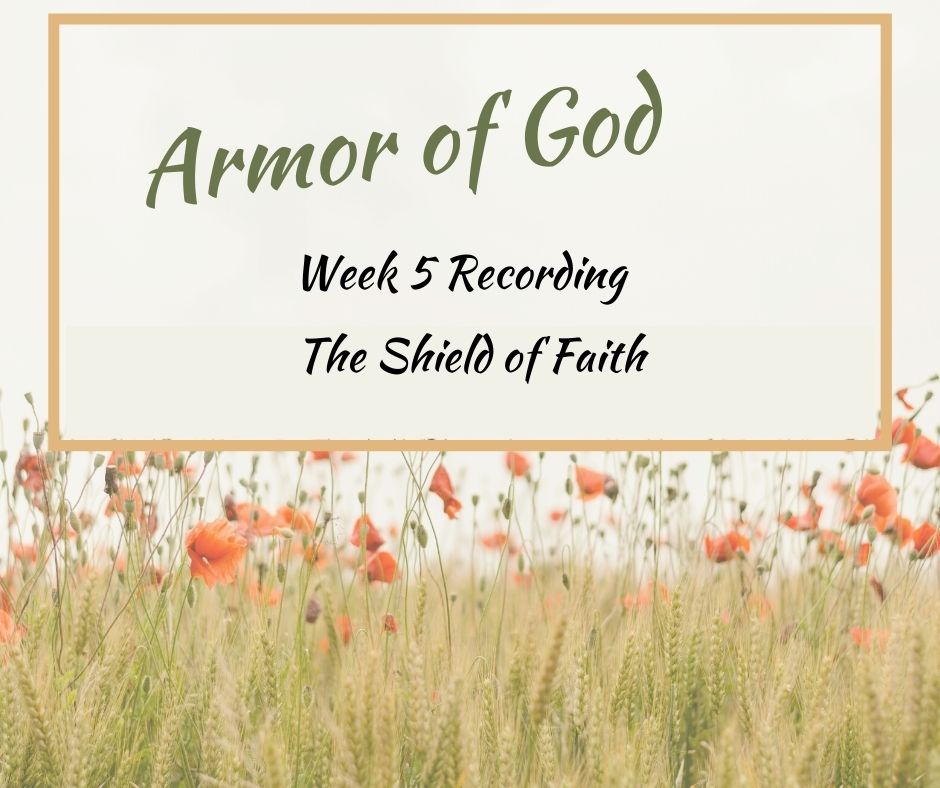 Armor_of_God_-_week_5